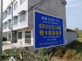 冕宁墙体广告质量分析