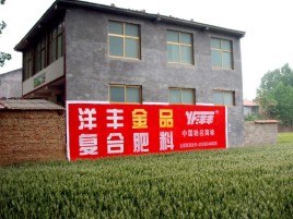 冕宁如何让墙体广告展现最大化效果